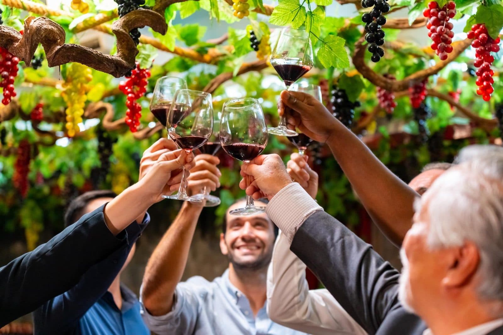 Glasses of red wine raised under grapevines. Avanos Wine Tasting, arranged from The Owl Cave Hotel in Göreme, Cappadocia.