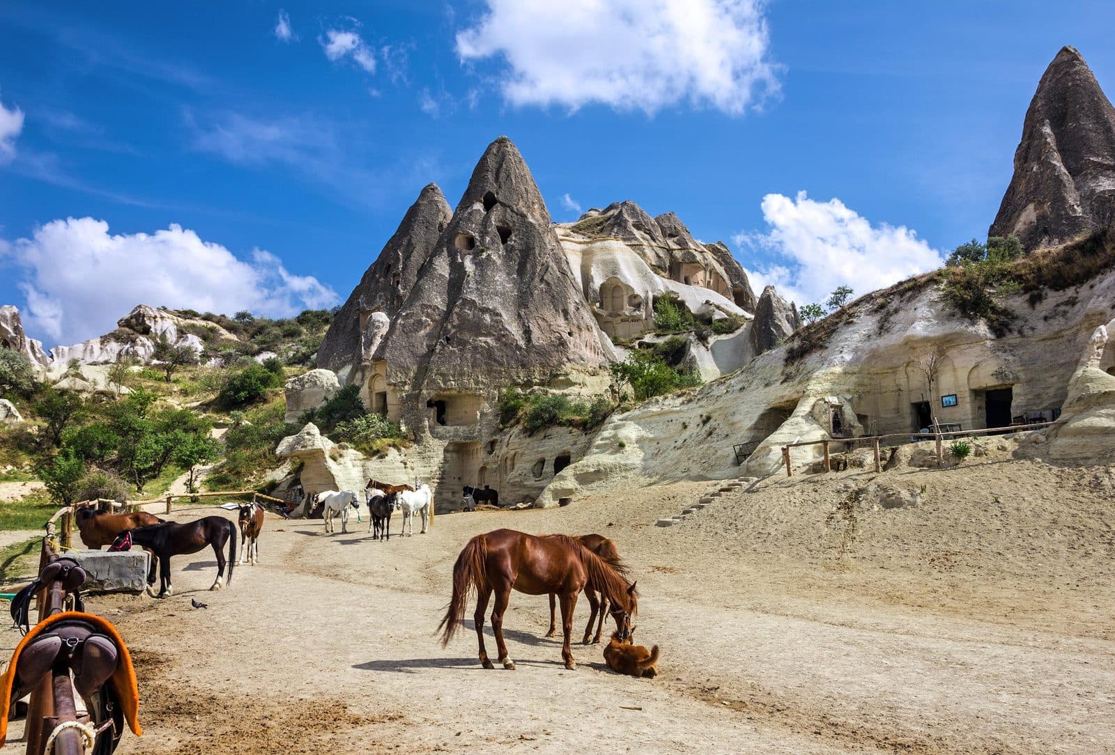 Horses and riders on a track between fairy chimneys and cave houses. Fairy Chimney Horse Ride, arranged from The Owl Cave Hotel in Göreme, Cappadocia.