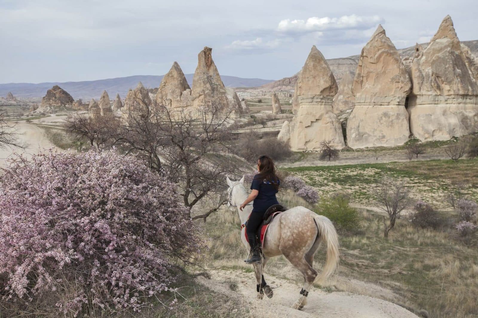 A rider on a white horse beside a blossoming tree and fairy chimneys. Fairy Chimney Horse Ride, arranged from The Owl Cave Hotel in Göreme, Cappadocia.