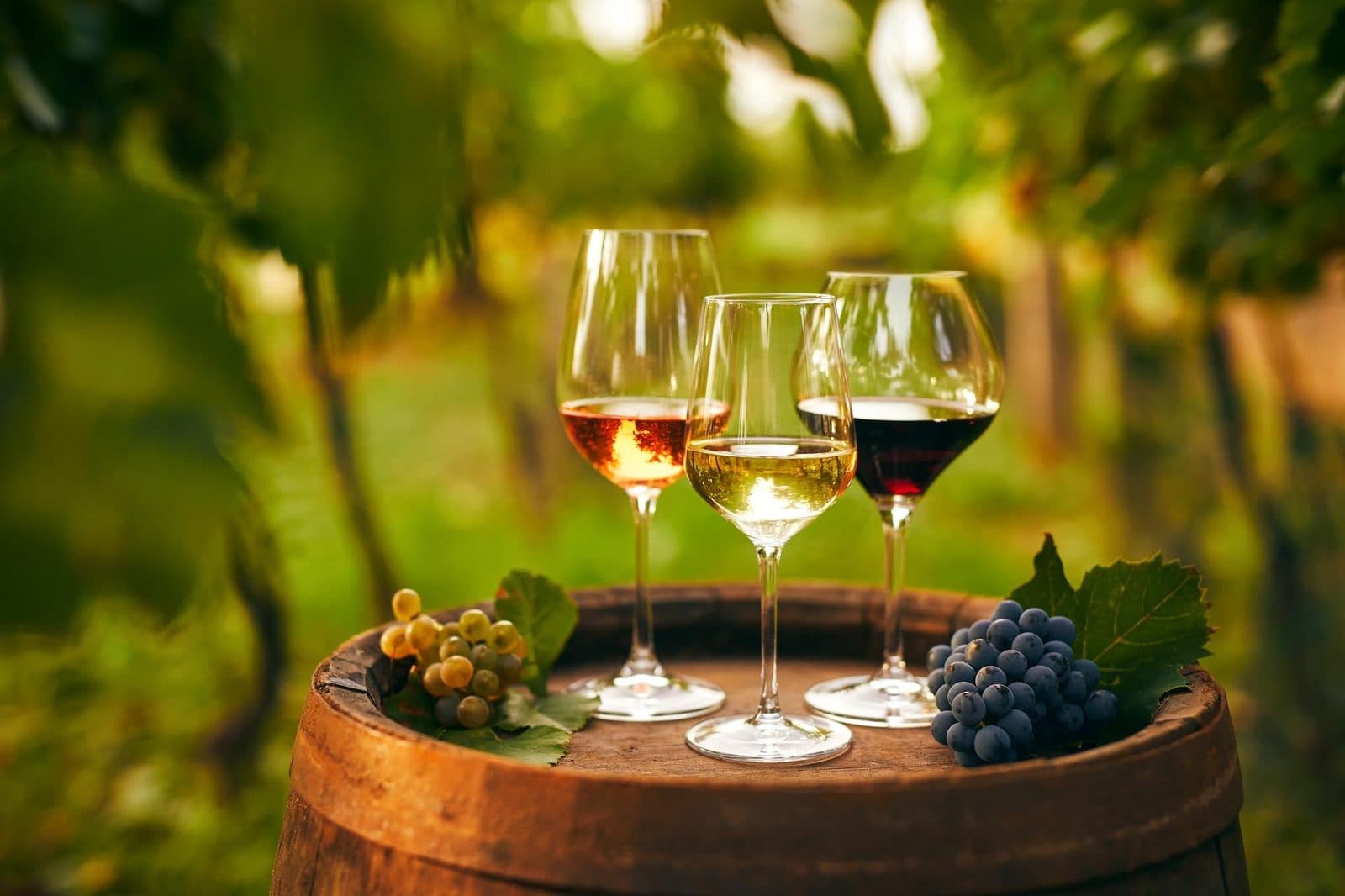 Glasses of white, rosé, and red wine on a barrel with grapes. Avanos Wine Tasting, arranged from The Owl Cave Hotel in Göreme, Cappadocia.