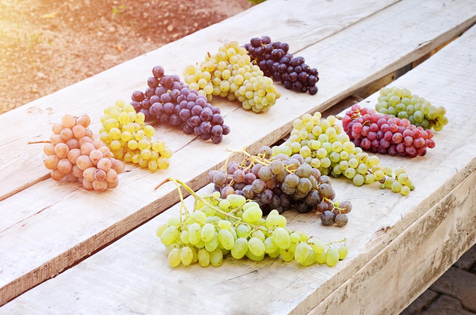 Bunches of green and purple grapes on a wooden table. Fairy Chimneys and Wine Tasting, arranged from The Owl Cave Hotel in Göreme, Cappadocia.
