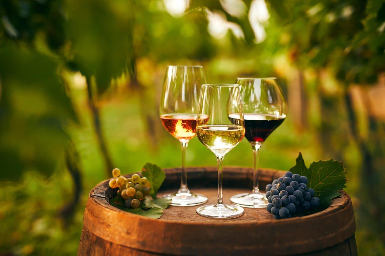 Glasses of white, rosé, and red wine on a barrel with grapes. Fairy Chimneys and Wine Tasting, arranged from The Owl Cave Hotel in Göreme, Cappadocia.