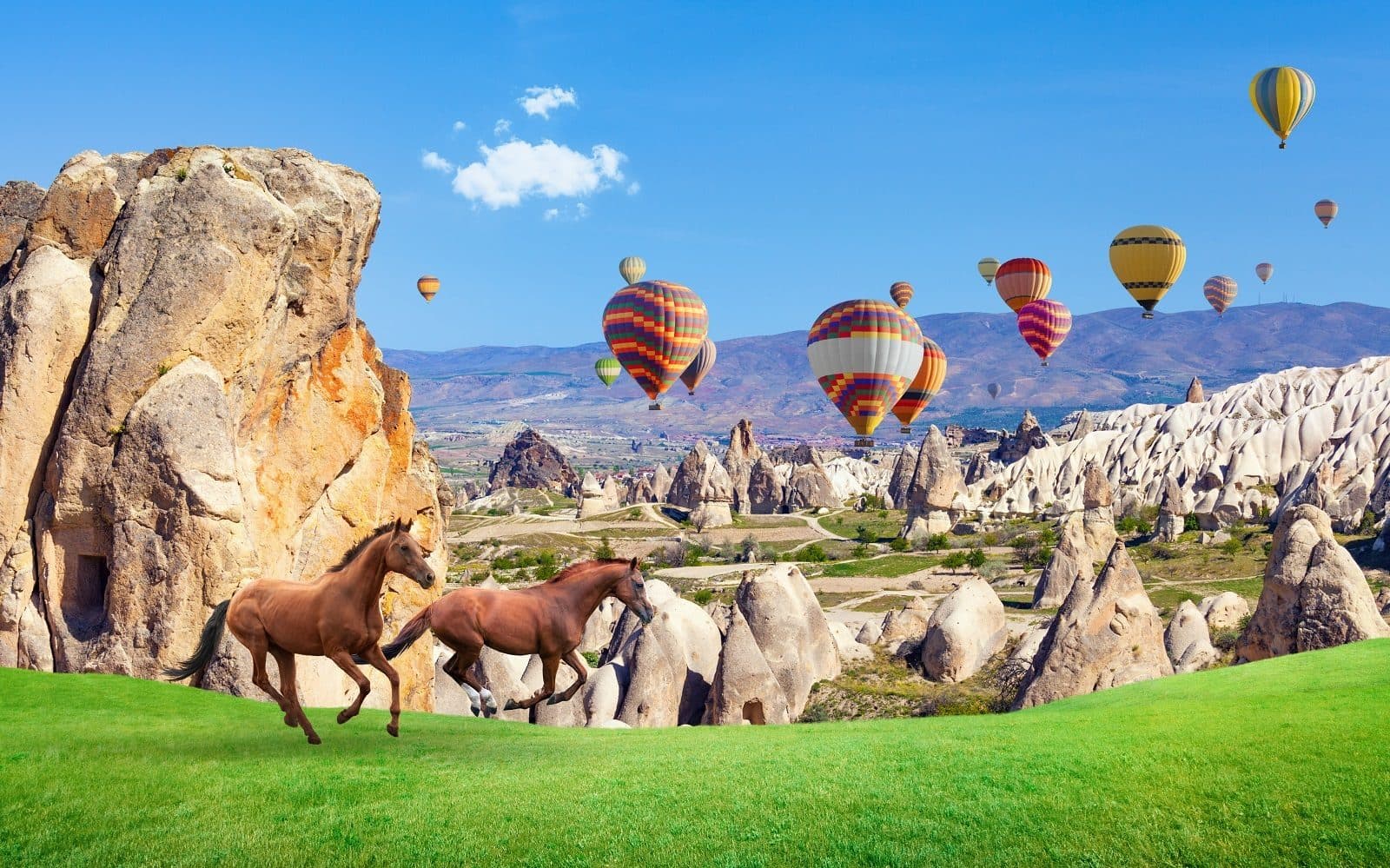 Horses running on grass with balloons and fairy chimneys behind them. Fairy Chimney Horse Ride, arranged from The Owl Cave Hotel in Göreme, Cappadocia.