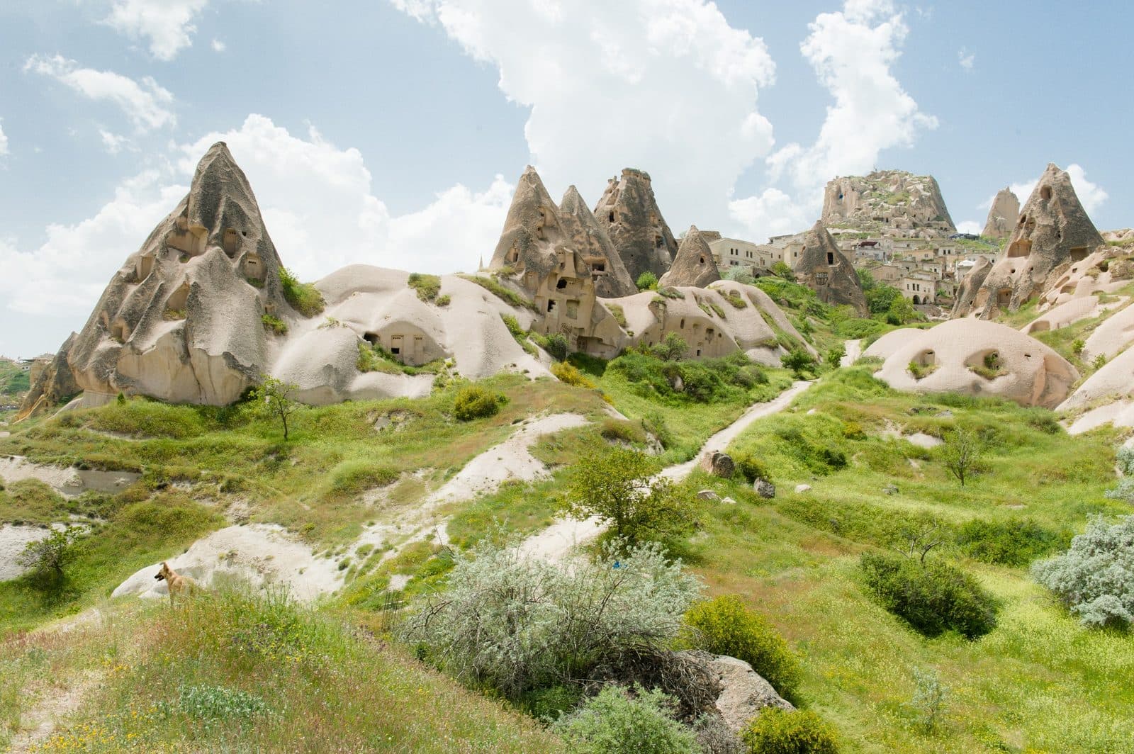 Fairy chimneys along a green ridge. Sunrise or Sunset Jeep Safari, arranged from The Owl Cave Hotel in Göreme, Cappadocia.