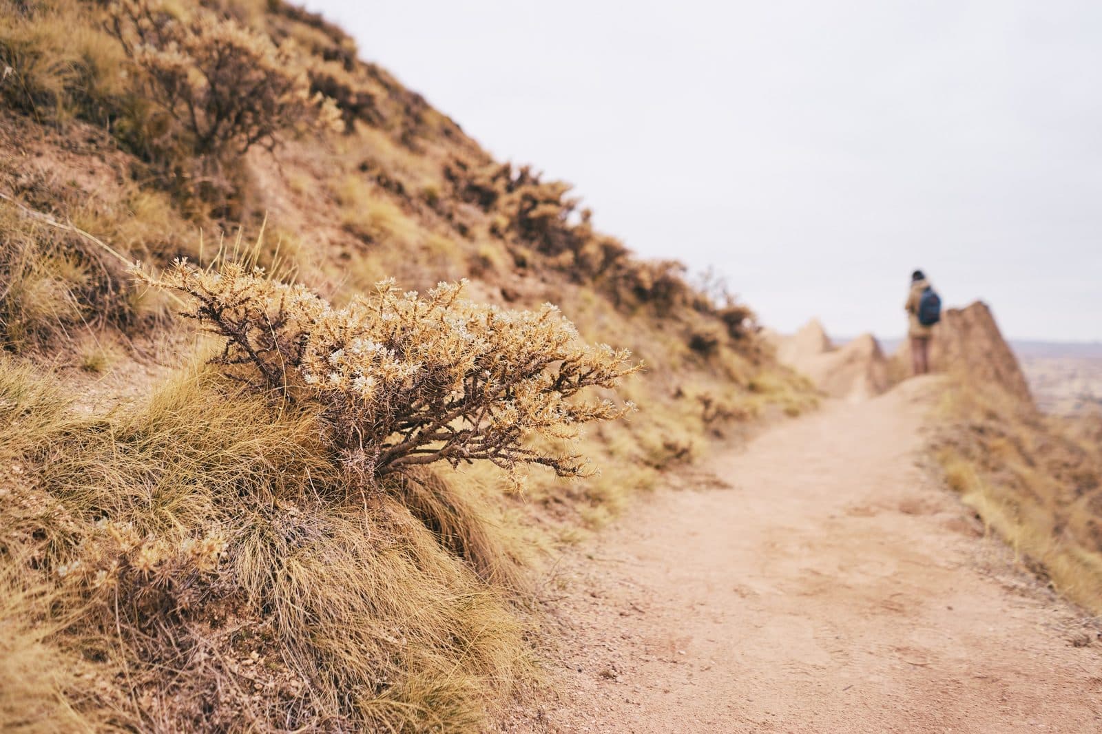 A person walking a dirt ridge. Sunrise or Sunset Jeep Safari, arranged from The Owl Cave Hotel in Göreme, Cappadocia.
